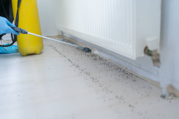 Best Wasp Removal Services  in Chadds Ford, PA